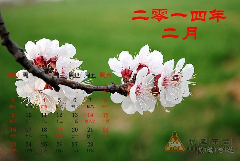 9650494.jpg_s780