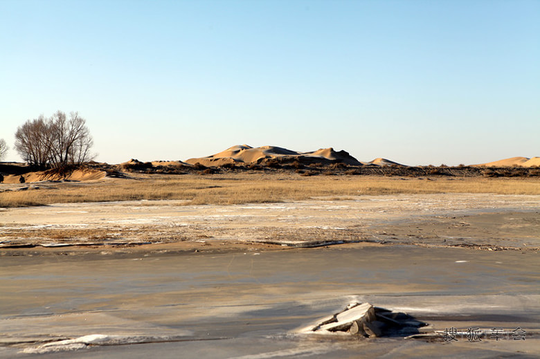 黄河流域---河套地区---沙拐子_搜狐-车影会