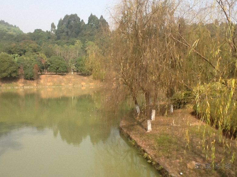 参加搜狐新塘新世界花园及龙头山森林公园自驾