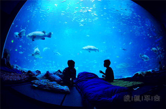 十大最酷海底旅馆 在迪拜海底入眠_乐风-乐友