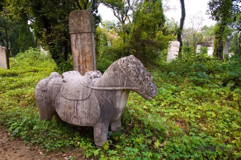 自由行游世界:山东曲阜孔庙 曲阜孔林