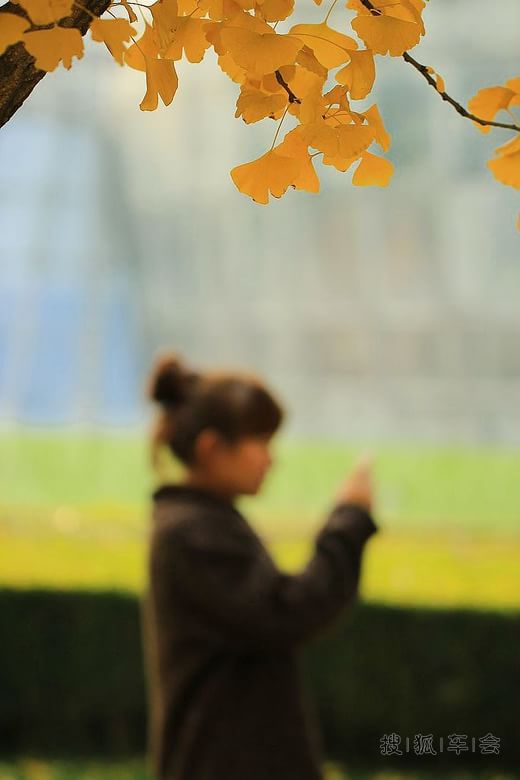 9788063.jpg_s780