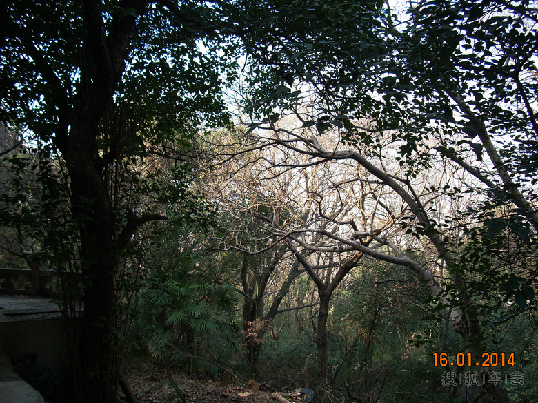 武汉印象-珞珈山_安阳车友会