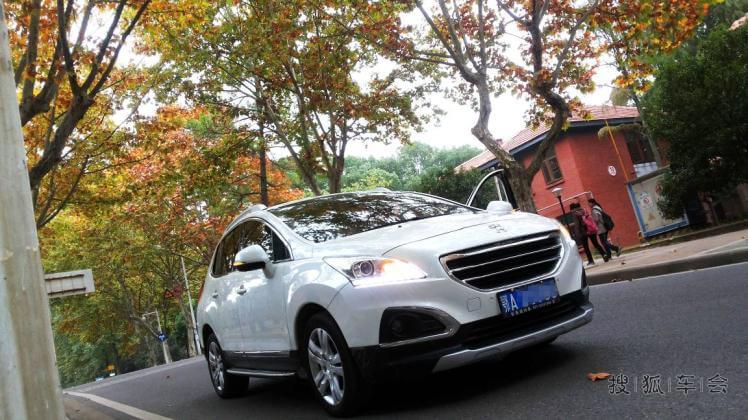 纪念三胖在那深秋梧桐树下的点点滴滴,别样的