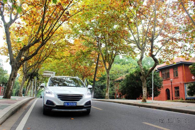 纪念三胖在那深秋梧桐树下的点点滴滴,别样的