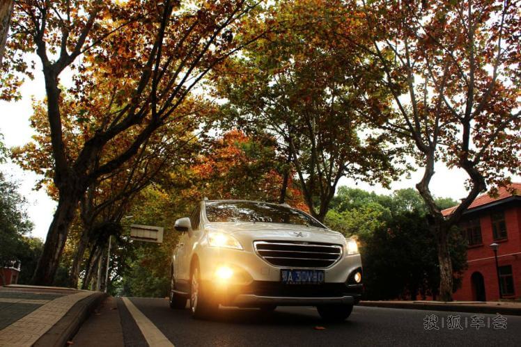 纪念三胖在那深秋梧桐树下的点点滴滴,别样的