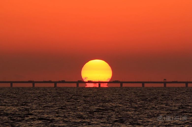 2014央视马年春晚最喜爱节目调查