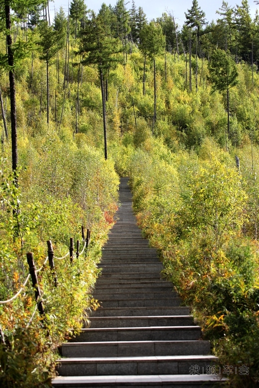 [原创] 曲径通幽处林间听鸟鸣