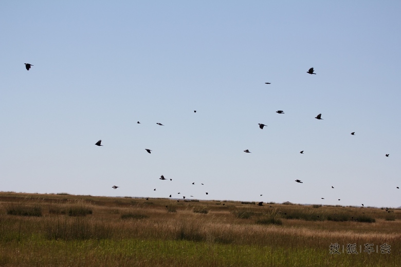 [原创]天下乌鸦一般黑