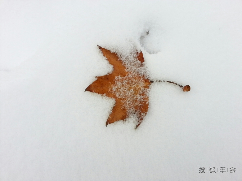 我用手机扫扫雪