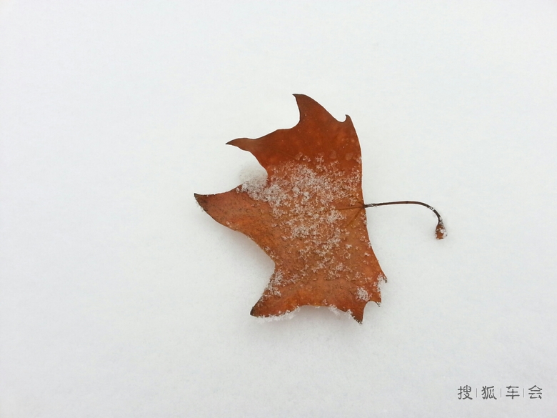 我用手机扫扫雪