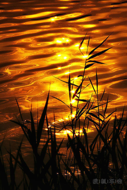 最美的风景不在远方,而在心上!