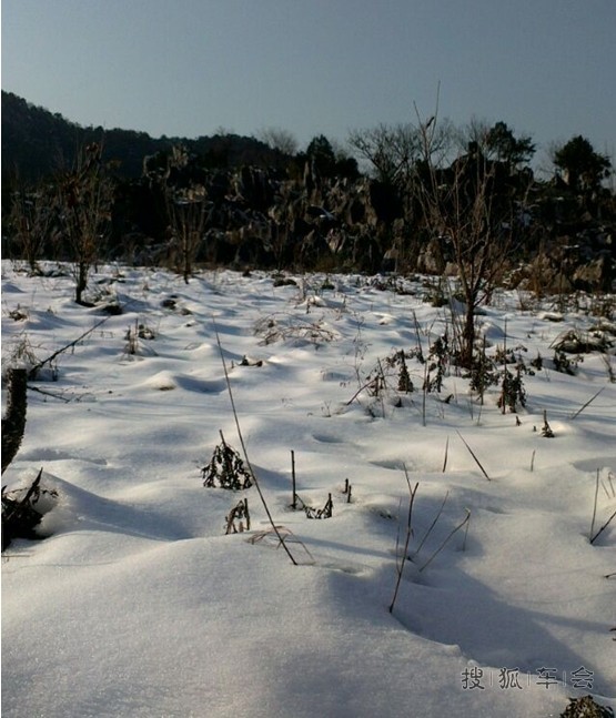 9905425.jpg_s780