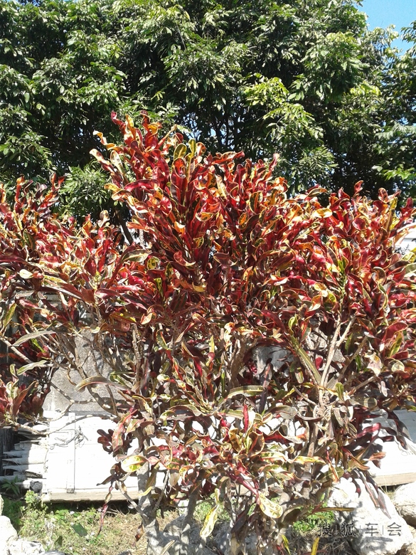 春节北京汕头南澳鼓琅屿福州杭州苏州东海北京