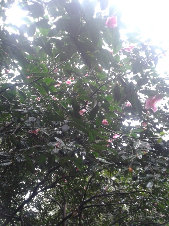 春节北京汕头南澳鼓琅屿福州杭州苏州东海北京