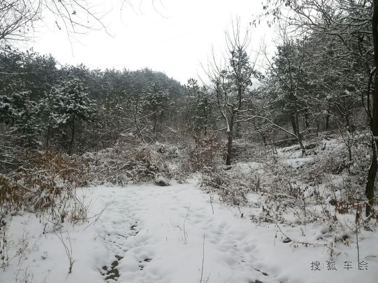 9921546.jpg_s780