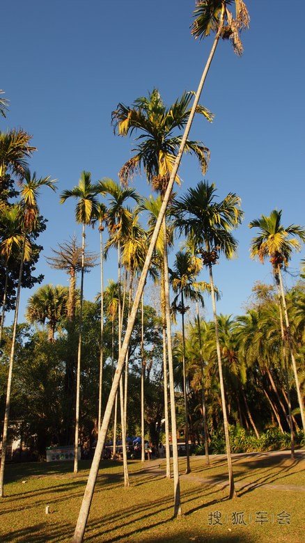 成都至西双版纳