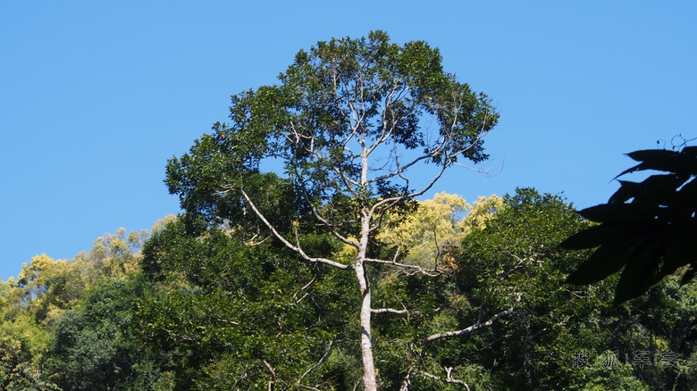 成都至西双版纳