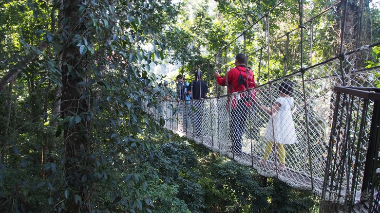 成都至西双版纳