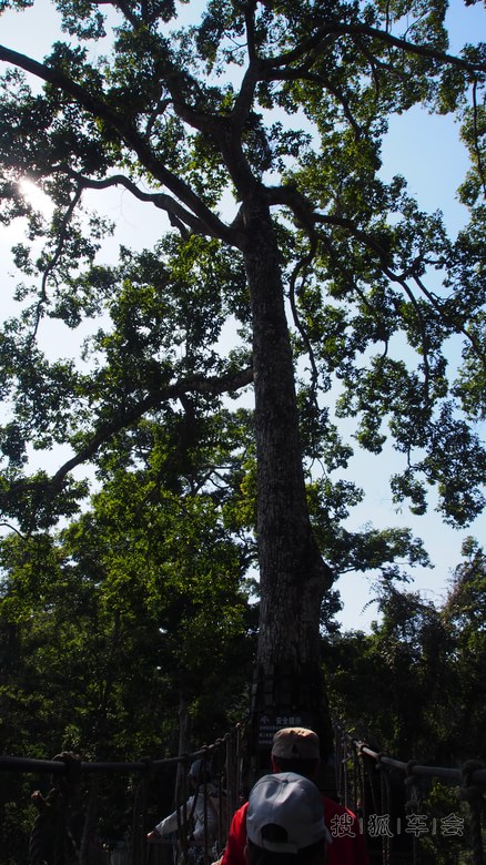 成都至西双版纳