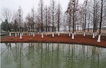 朋友的小三送我们去白塘植物生态园_荣威350