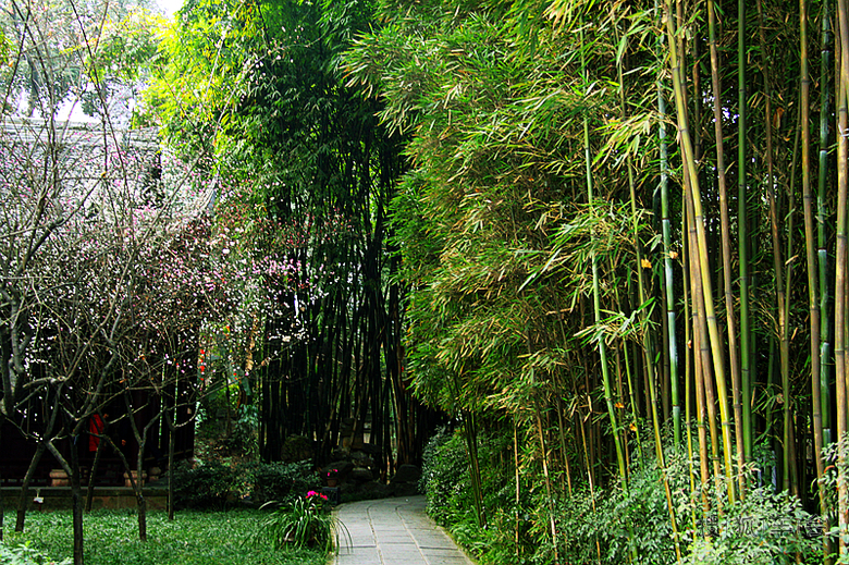 嗜酒爱风竹 卜居必林泉