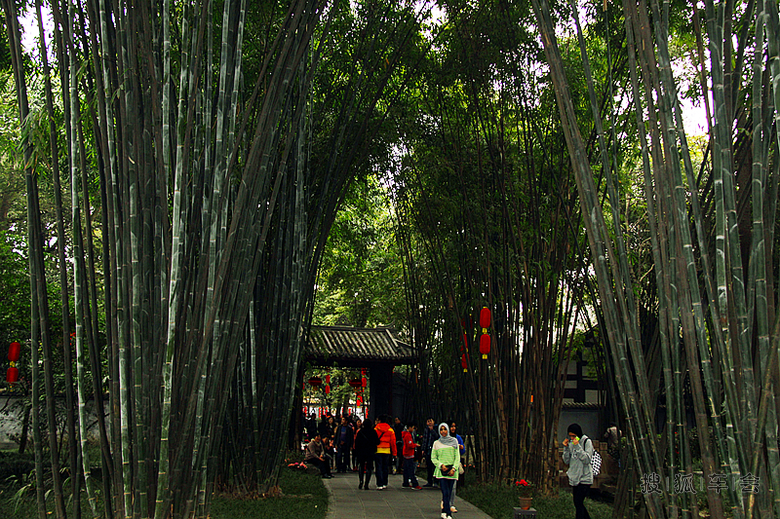 嗜酒爱风竹 卜居必林泉