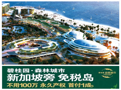 碧桂园森林城市