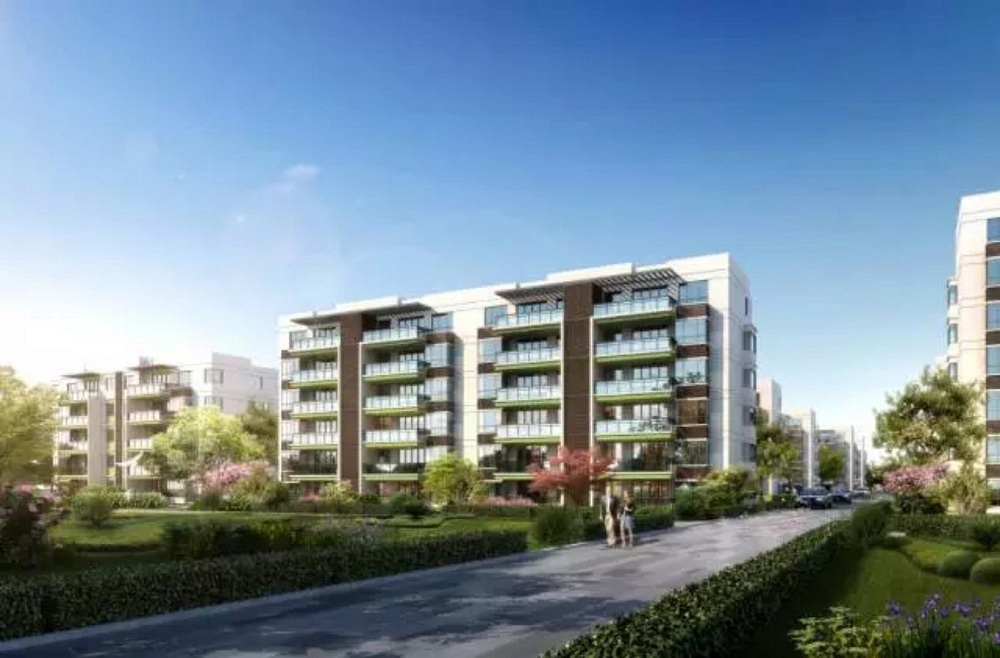 世合理想大地至真里