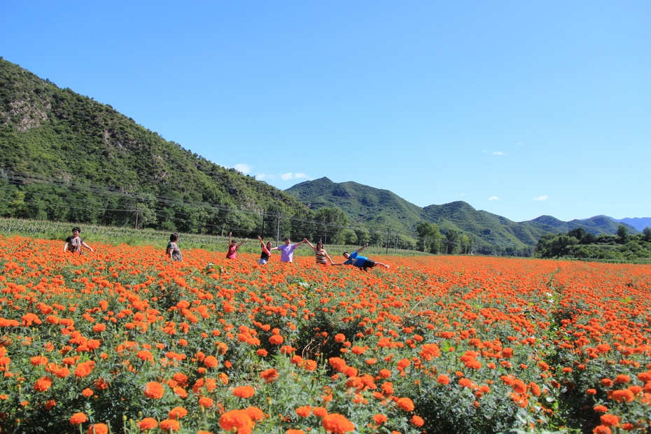 游览延庆四季花海沟