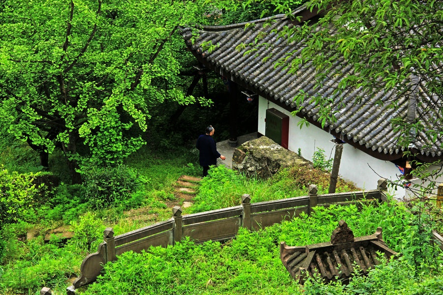 山間老道有點仙風道骨