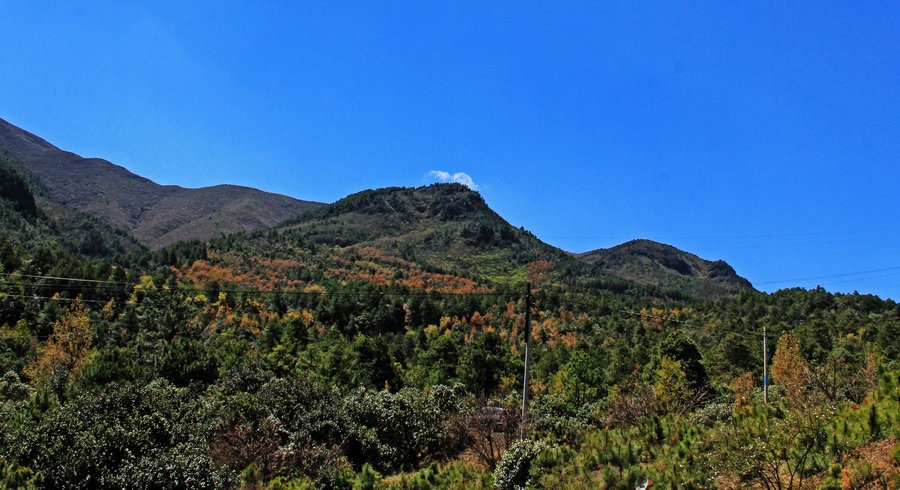 行木里看山国特色,过盐源赏林海田园