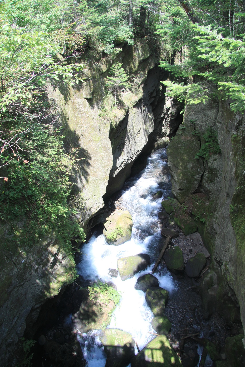 梯子河是河流经过狭长的悬崖峭壁形成的深谷,由于上窄下宽, 类似民间