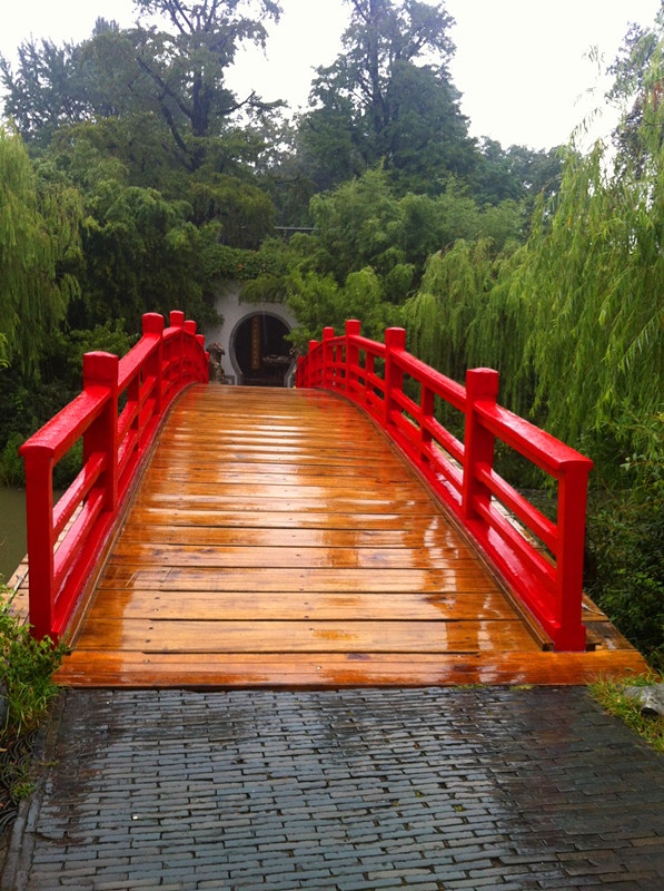 带点忧伤的彼岸花,还是蓝羽的小鸟,随处可见的诗词.