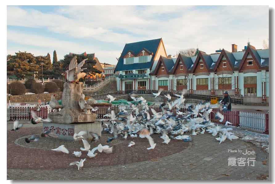 冰雪北戴河 夕阳鸽子窝-搜狐