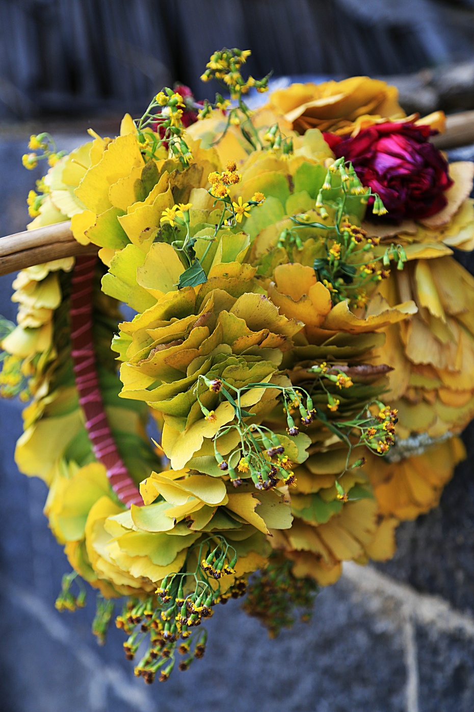 李郎:花无百日红,月有阴和晴;李郎望腾冲,银杏叶随风