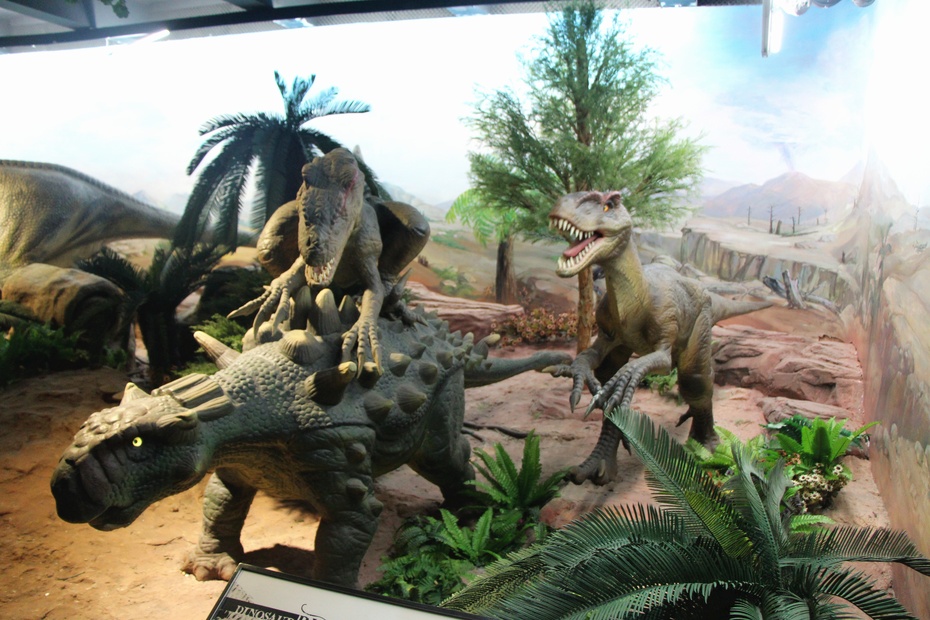 2015乐游北京第一站北京自然博物馆之恐龙公园