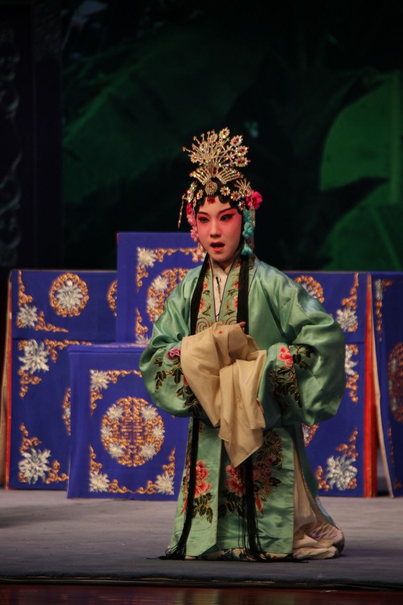 襄友观赏珍珠衫