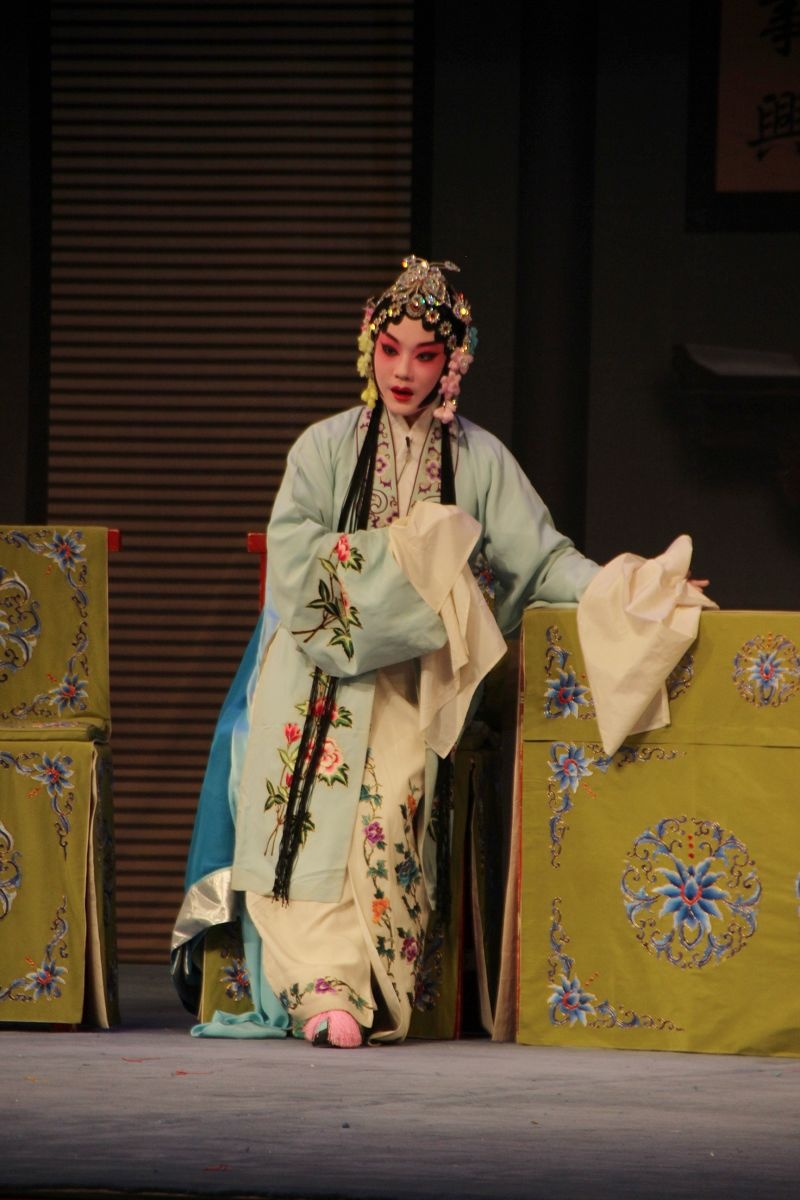 襄友观赏珍珠衫