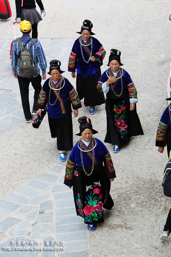 【黔东南·西江】戴花苗女最风情