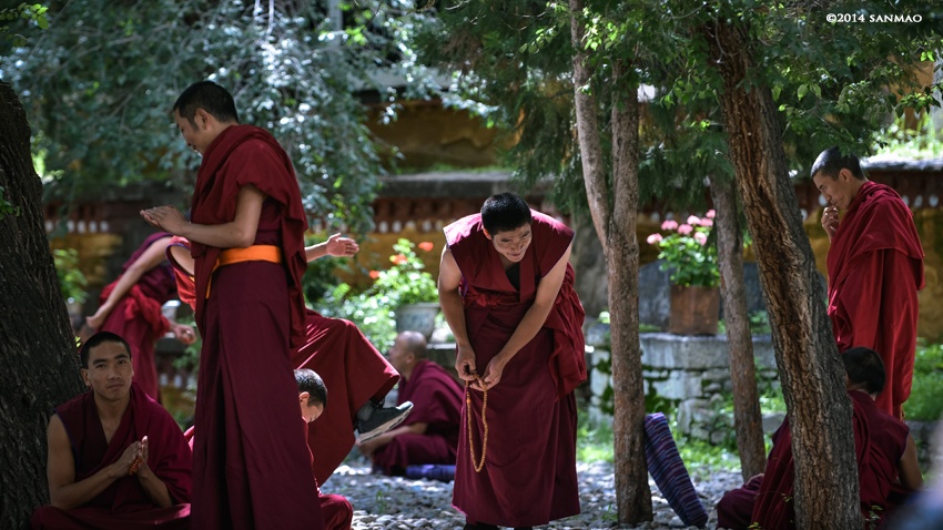 转山哲蚌寺里看辩经