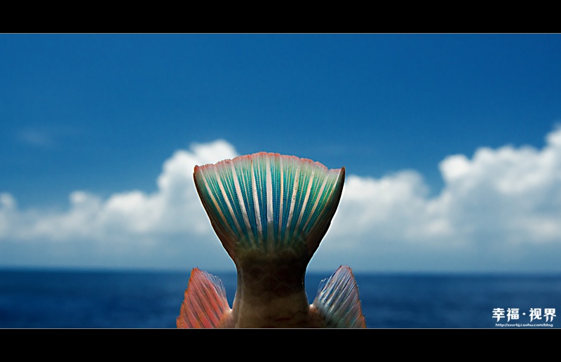 西沙群岛畅游华光礁