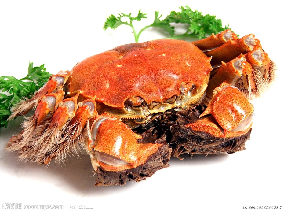 在湖中心的莲花岛上的 好澄真蟹坊园犹如一朵亭亭玉立的莲花