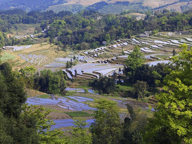 四川宜宾筠连县高坎梯田 变化莫测风景独好