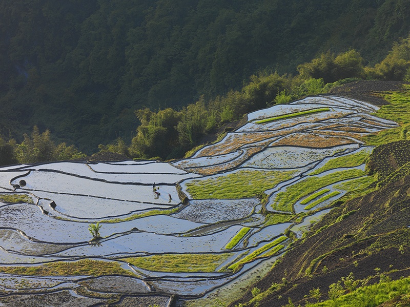 四川宜宾筠连县高坎梯田 变化莫测风景独好
