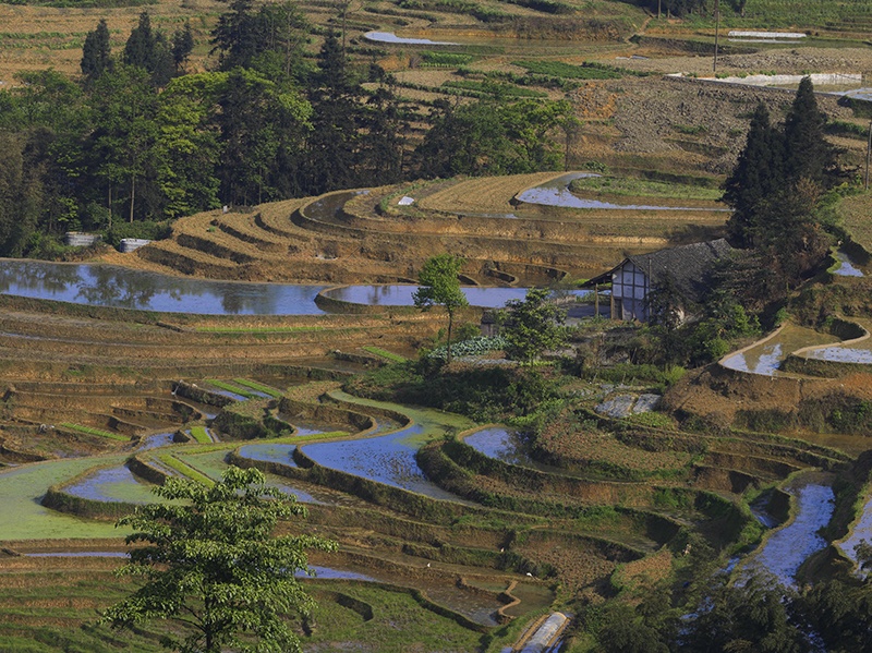 挣扎中的大地雕塑宜宾高坎梯田