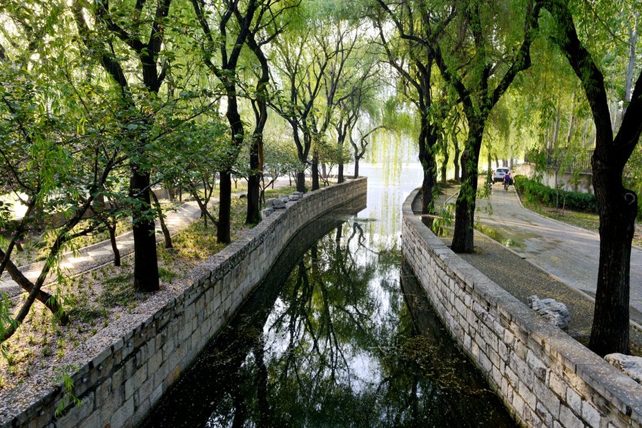 摄影习作(2015—128)暮春的小沂河 - 曲阜市老年大学摄影研究会专版