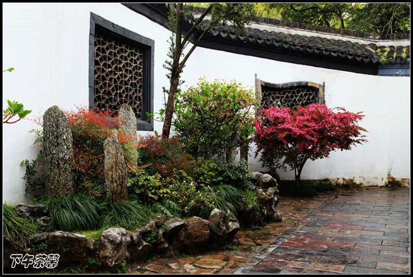 【南京】总统府的后花园