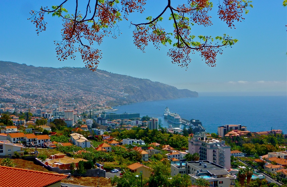 葡萄牙马德拉岛丰沙尔城madeirafunchal