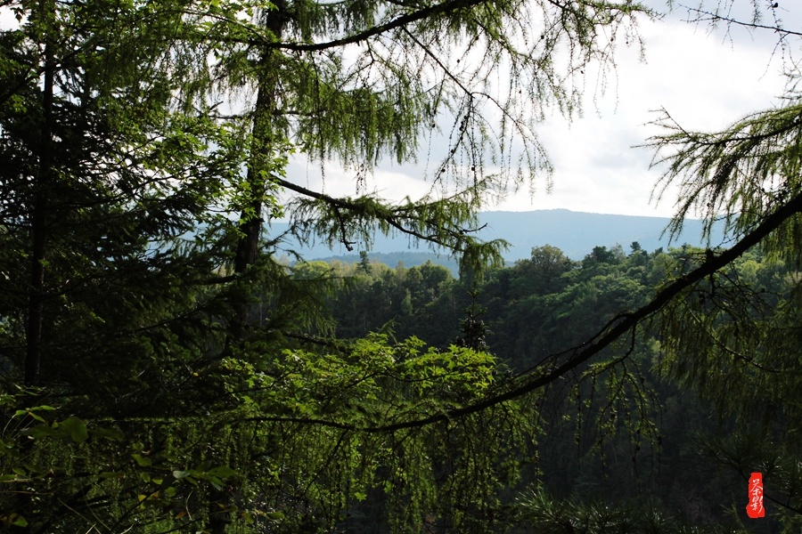 享受地下森林那浓浓的氧气